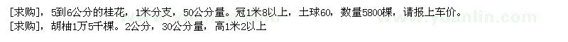 求購(gòu)5到6公分的桂花，胡柚1萬5千棵