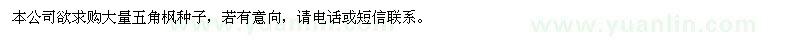 求購(gòu)五角楓種子