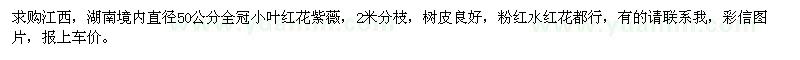 求購全冠小葉紅花紫薇