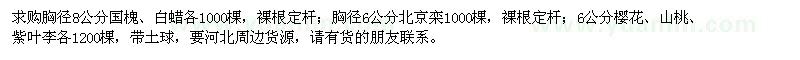 求購(gòu)國(guó)槐、白蠟、北京欒、櫻花、山桃、紫葉李