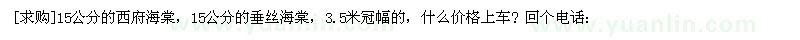 求購15公分的西府海棠，15公分的垂絲海棠