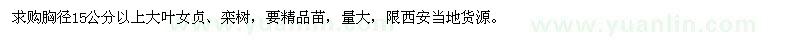 求購15公分以上大葉女貞、欒樹