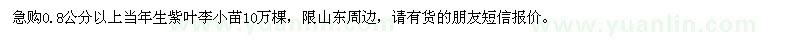 求購當年生紫葉李小苗10萬(wàn)棵