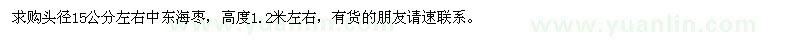 求購頭徑15公分左右中東海棗