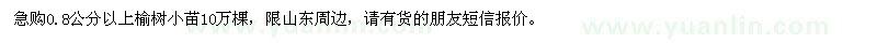 求購榆樹小苗10萬棵
