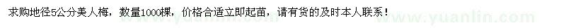 求購地徑5公分美人梅1000棵