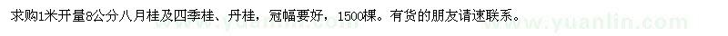 求購八月桂,四季桂,丹桂