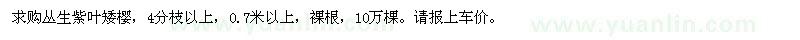 求購叢生紫葉矮櫻