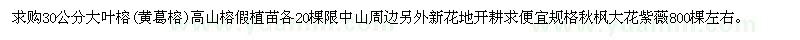 求購高山榕假植苗 秋楓 大花紫薇800棵