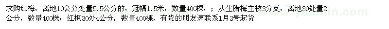 求購紅梅,從生臘梅,紅楓