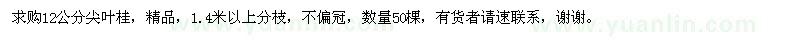 求購12公分尖葉桂