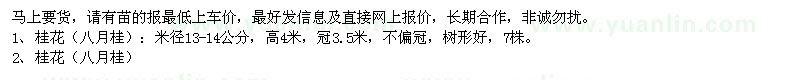 求購(gòu)桂花