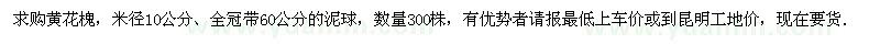 求購黃花槐米徑10公分 