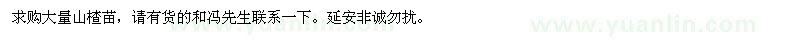 求購(gòu)大量山楂苗 