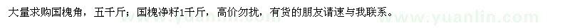 求購國槐角、國槐凈籽