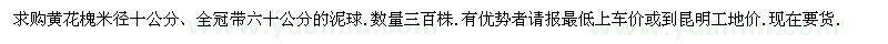 求購(gòu)黃花槐米徑十公分