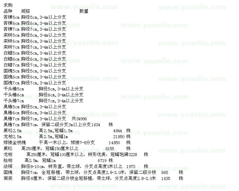 求購苦楝、欒樹、白蠟、國槐、千頭椿、臭椿、黑松、龍柏等苗木