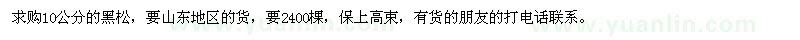 求購10公分的黑松