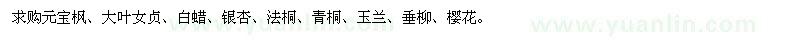 求購元寶楓、大葉女貞、白蠟、銀杏、法桐、青桐、玉蘭、垂柳、櫻花