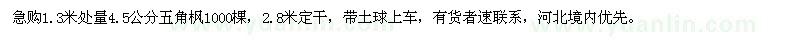 求購4.5公分五角楓1000棵