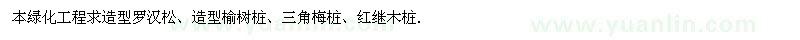 求購造型羅漢松、榆樹樁、三角梅樁、紅繼木樁 