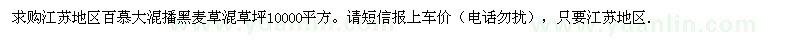 求購江蘇地區(qū)百慕大混播黑麥草混草坪10000平方