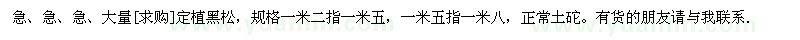 求購急、急、急、大量定植黑松