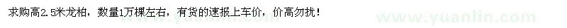 求購高2.5米龍柏1萬棵