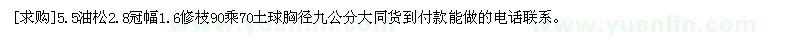 求購5.5油松2.8冠幅1.6修枝90乘70土球胸徑九公分