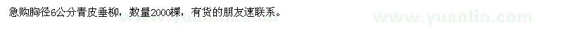 求購胸徑6公分青皮垂柳2000棵
