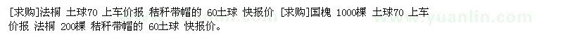 求購法桐 土球70 國槐 1000棵