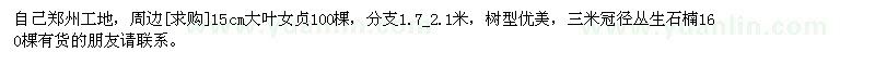 求購(gòu)自己鄭州工地，周邊15cm大葉女貞100棵
