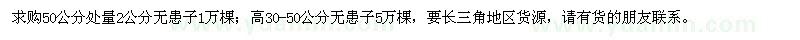 求購無患子6萬棵