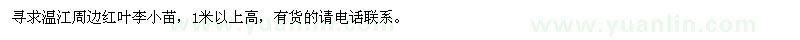求購(gòu)溫江周邊紅葉李小苗，1米以上高