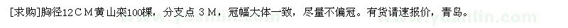 求購胸徑12cm黃山欒100棵