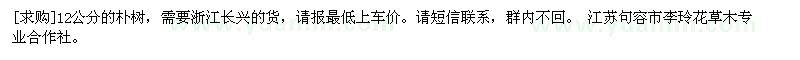 求購12公分的樸樹
