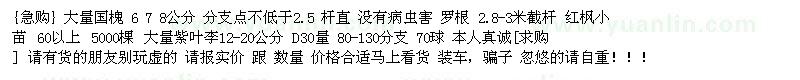 求購 大量國槐 紅楓小苗 大量紫葉李