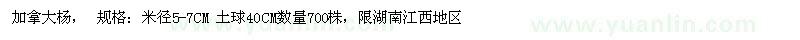 求購加拿大楊