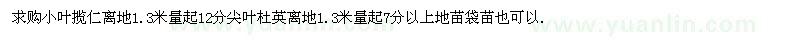 求購小葉攬仁、尖葉杜英