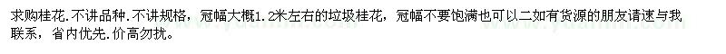 求購桂花