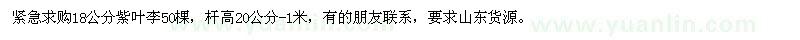 求購18公分紫葉李50棵