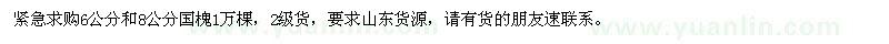 求購(gòu)6公分和8公分國(guó)槐1萬(wàn)棵