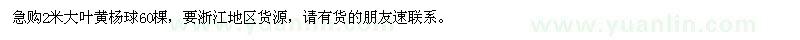 求購(gòu)2米大葉黃楊球60棵