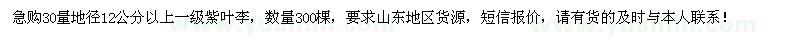 求購地徑12公分以上一級(jí)紫葉李300棵