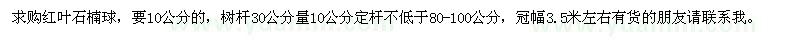 求購紅葉石楠球 