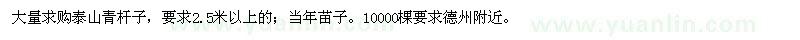 求購泰山青桿子