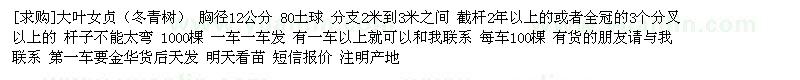 求購大葉女貞（冬青樹） 胸徑12公分