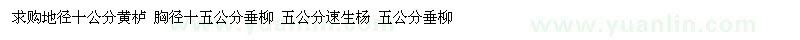 求購(gòu)黃櫨 垂柳 速生楊 垂柳