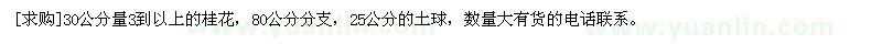 求購30公分量3到以上的桂花，80公分分支