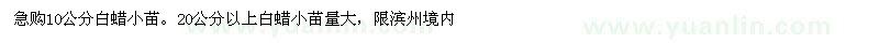求購10公分白蠟小苗。20公分以上白蠟小苗量大